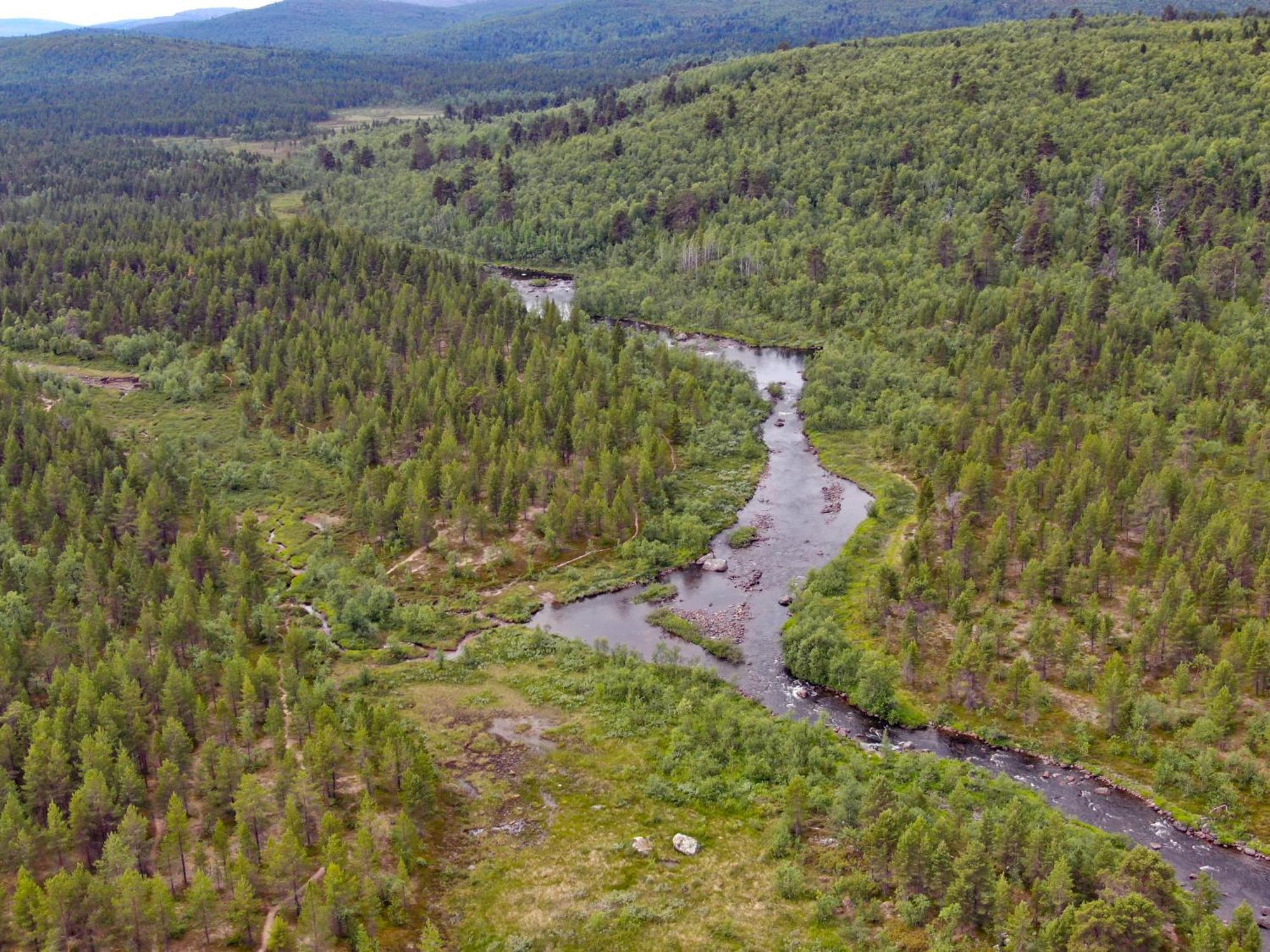Muotkan Ruoktu Tunturikyla Inari Esterno foto