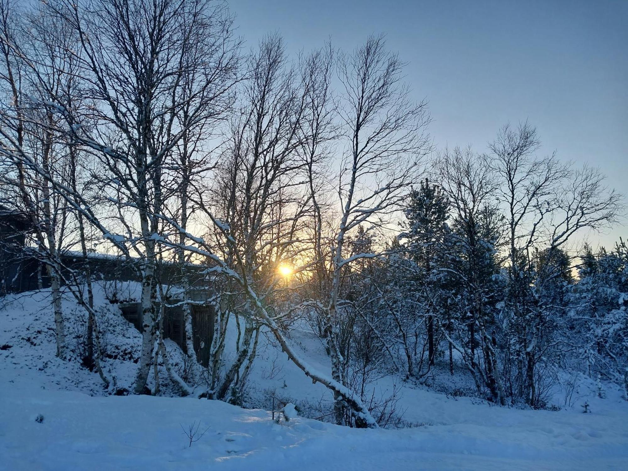 Muotkan Ruoktu Tunturikyla Inari Esterno foto